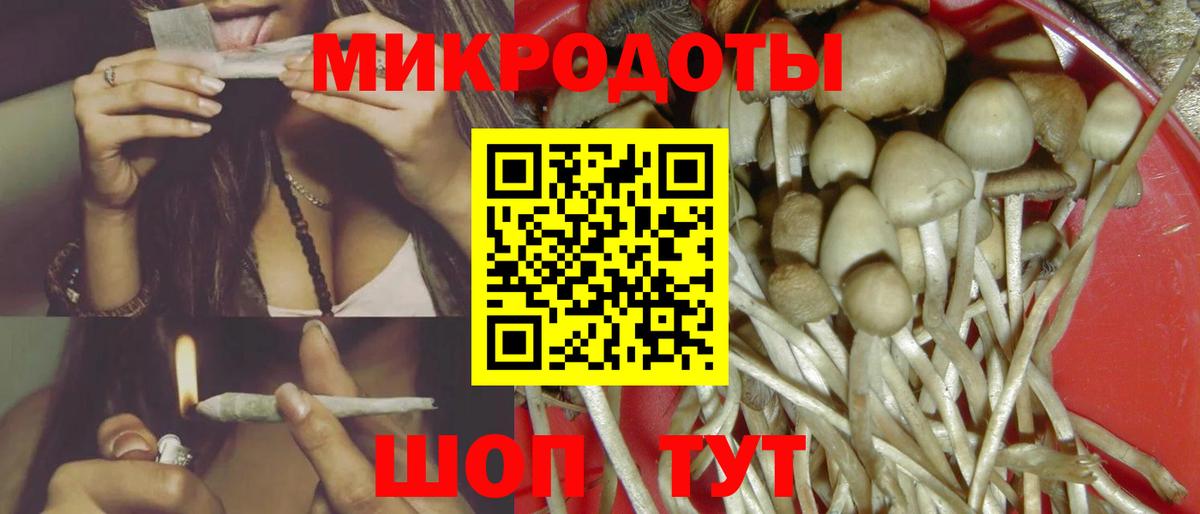 Городец  Галлюциногенные грибы Cubensis  Вход с VPN 