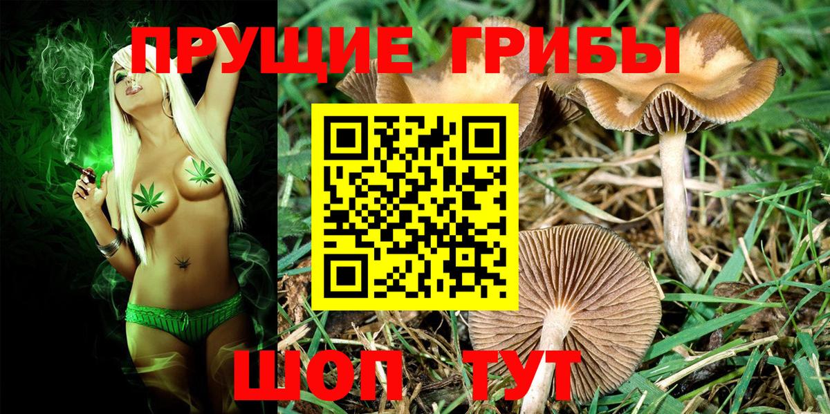 Псилоцибиновые грибы мухоморы Городец